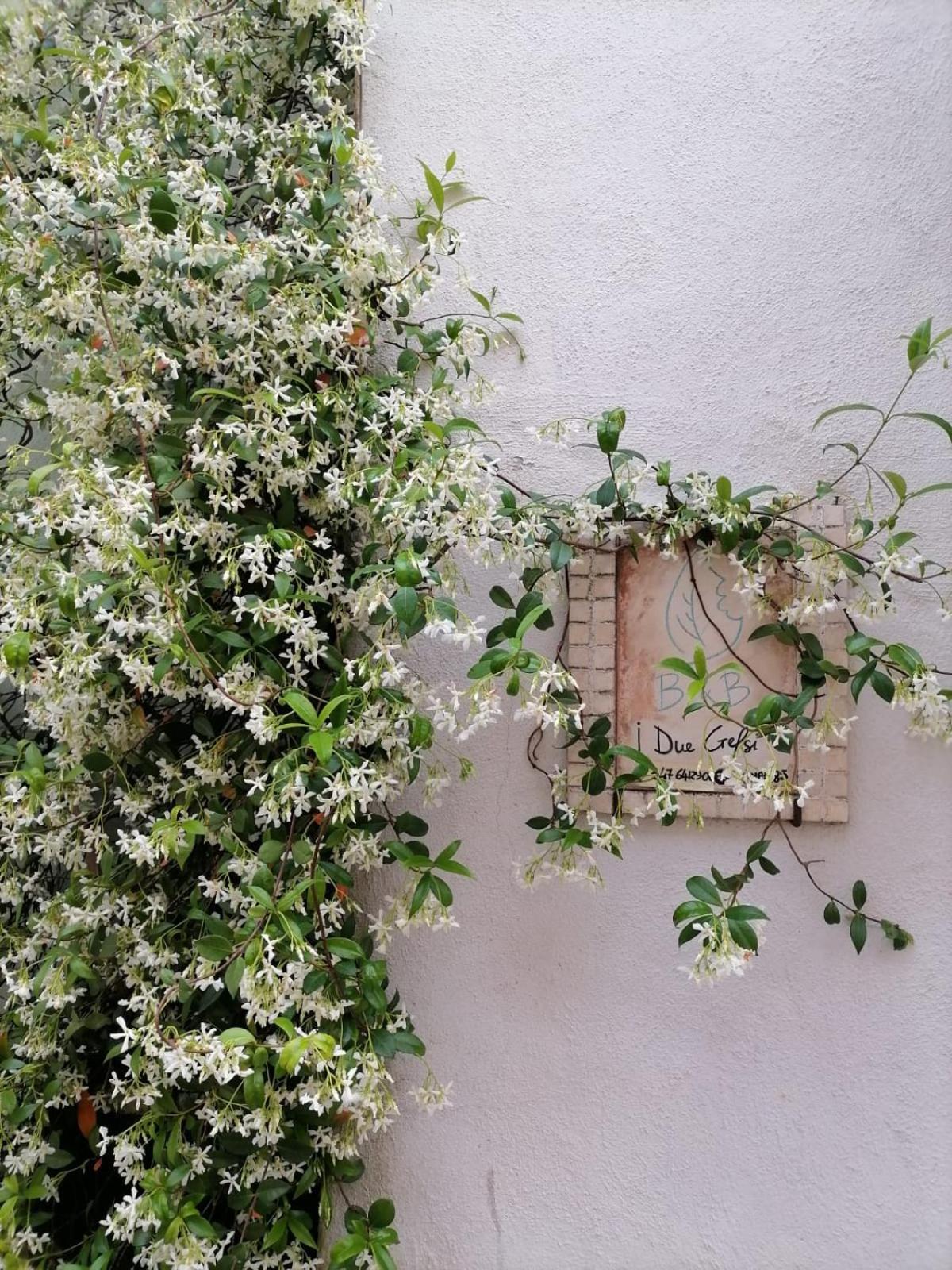 Monte Libretti B&B I Due Gelsi المظهر الخارجي الصورة